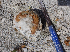 in Aufl&ouml;sung befindlicher Schwamm