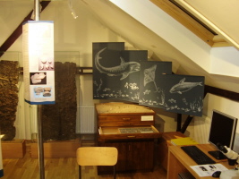 Ausstellung im Strohmuseum in Twistringen
