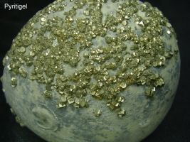 Pyrit kristalle auf einem Echinocorys